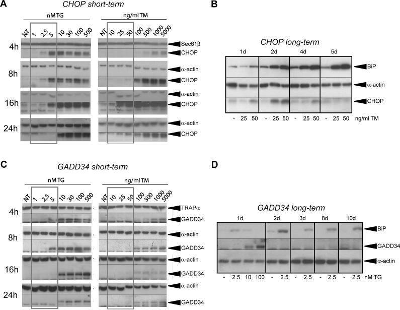 https://cdn.ncbi.nlm.nih.gov/pmc/blobs/5331/1637051/06dcad2f9f31/pbio.0040374.g003.jpg