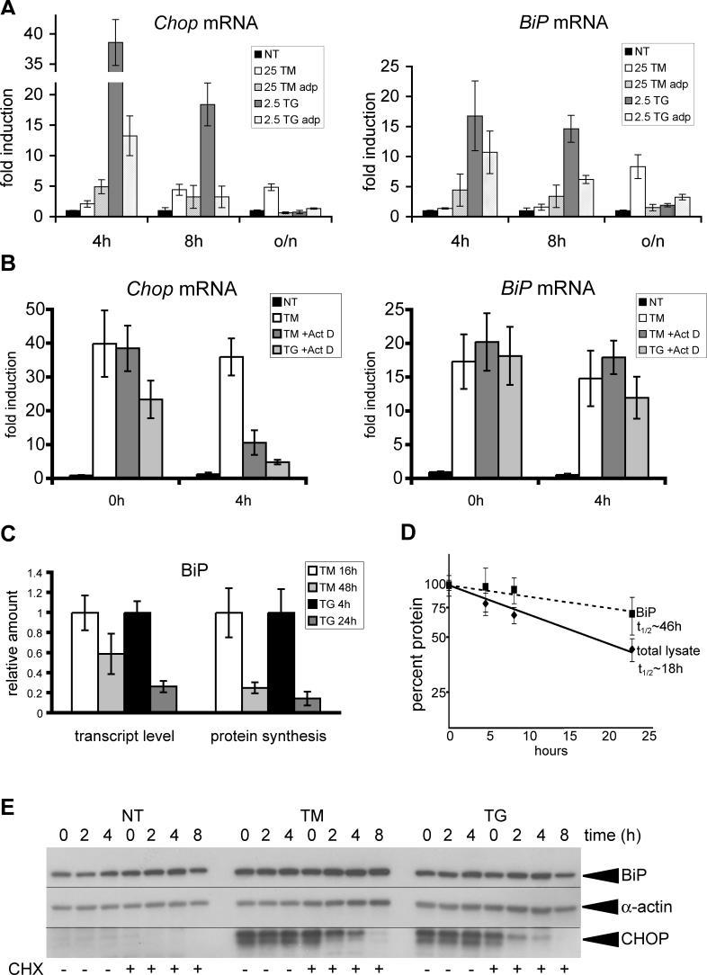 https://cdn.ncbi.nlm.nih.gov/pmc/blobs/5331/1637051/566a78b9ed69/pbio.0040374.g005.jpg