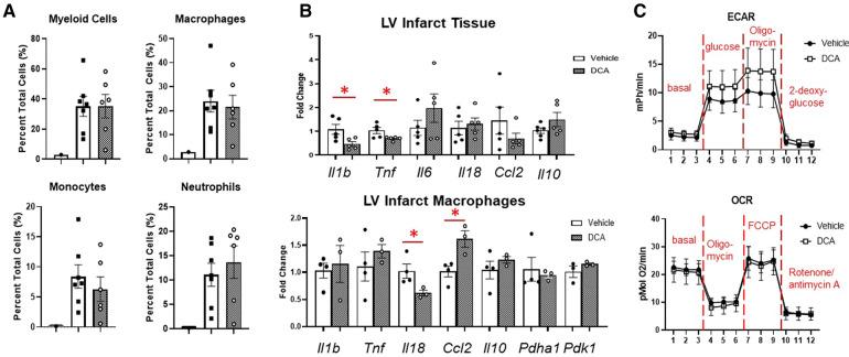 https://cdn.ncbi.nlm.nih.gov/pmc/blobs/5333/10196495/8cc09b3692b6/fcvm-10-1136252-g007.jpg