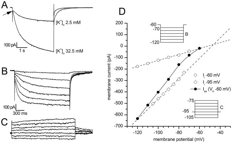 https://cdn.ncbi.nlm.nih.gov/pmc/blobs/5336/3528748/3a91ee7a80e5/pone.0052329.g003.jpg
