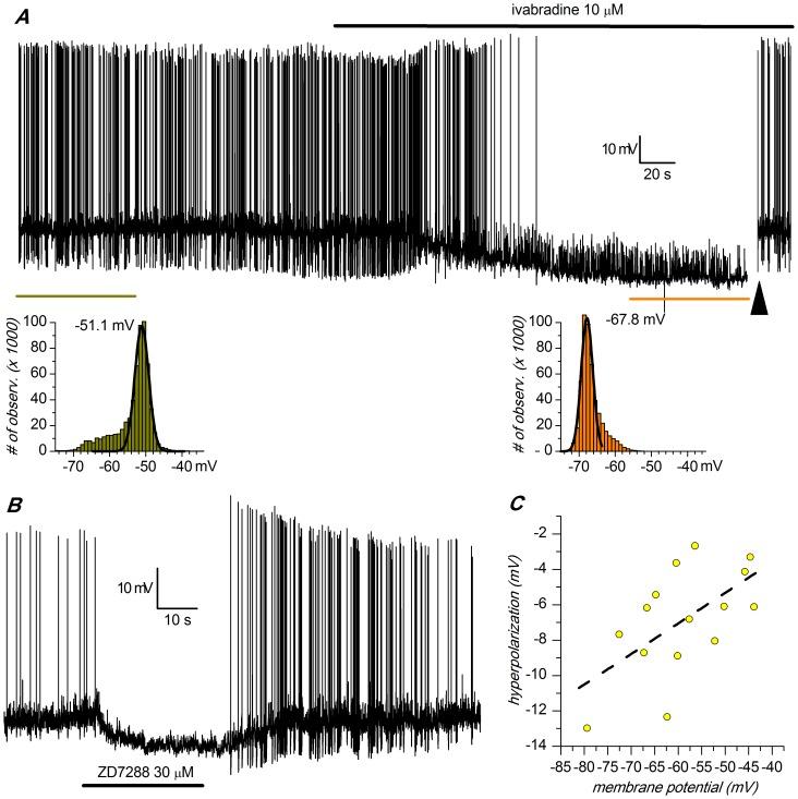 https://cdn.ncbi.nlm.nih.gov/pmc/blobs/5336/3528748/a55139b4249b/pone.0052329.g006.jpg