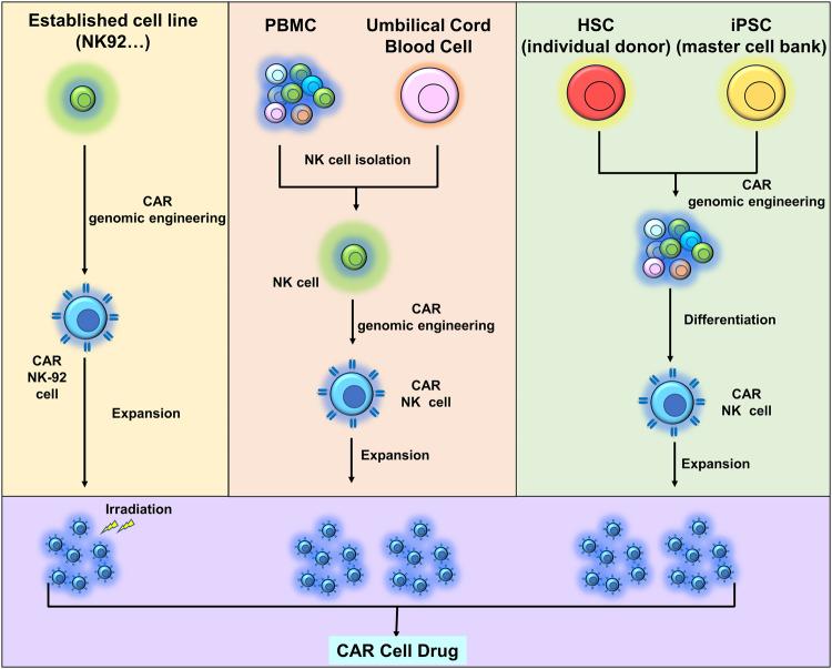 https://cdn.ncbi.nlm.nih.gov/pmc/blobs/5337/10788349/0a724da05bb2/41419_2024_6438_Fig5_HTML.jpg