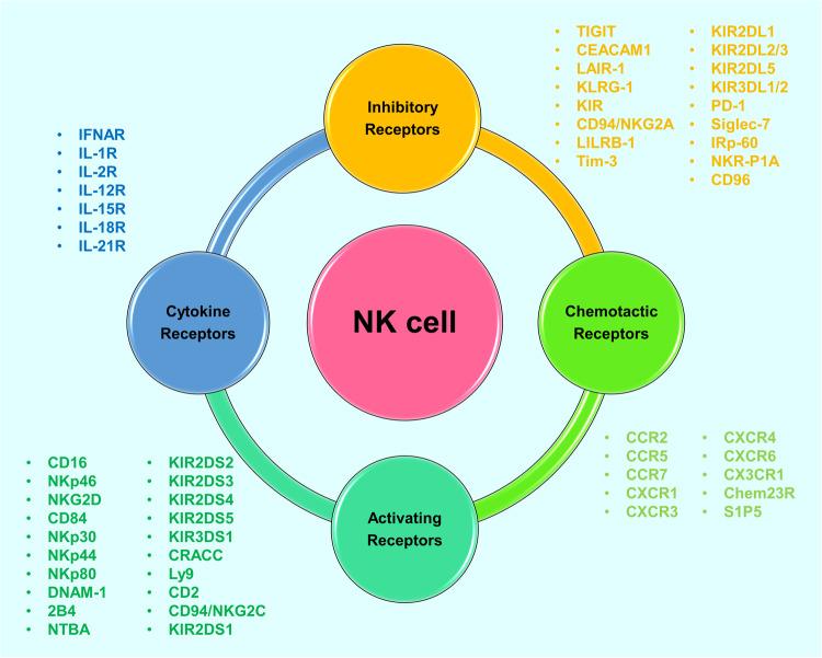 https://cdn.ncbi.nlm.nih.gov/pmc/blobs/5337/10788349/b630a1c34e22/41419_2024_6438_Fig2_HTML.jpg