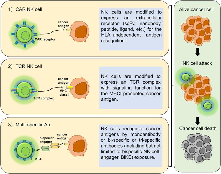 https://cdn.ncbi.nlm.nih.gov/pmc/blobs/5337/10788349/d91690bcc11c/41419_2024_6438_Fig4_HTML.jpg