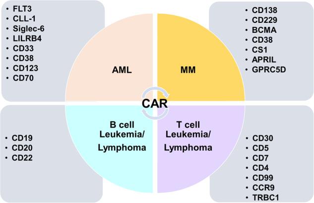 https://cdn.ncbi.nlm.nih.gov/pmc/blobs/5337/10788349/e0041fba9fc1/41419_2024_6438_Fig7_HTML.jpg