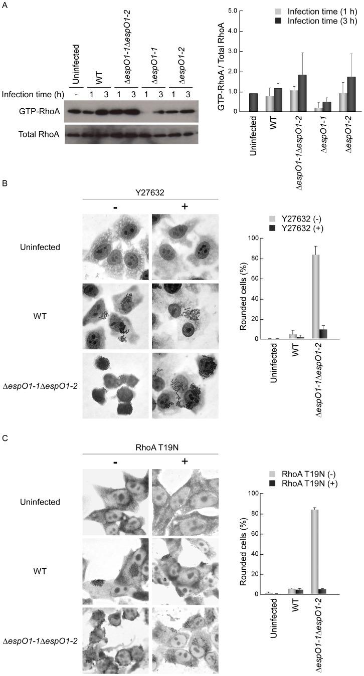 https://cdn.ncbi.nlm.nih.gov/pmc/blobs/5337/3568036/77d0cfc652c0/pone.0055960.g005.jpg