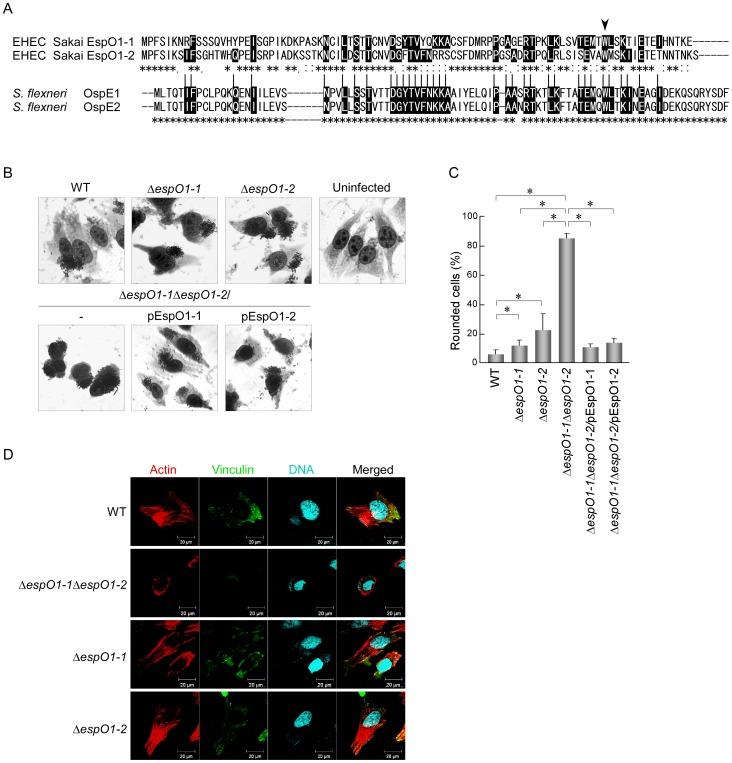 https://cdn.ncbi.nlm.nih.gov/pmc/blobs/5337/3568036/95ceb392de0e/pone.0055960.g001.jpg