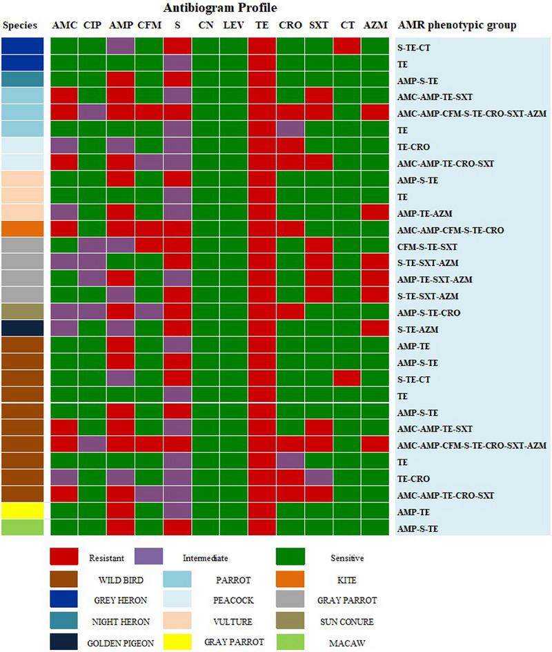 https://cdn.ncbi.nlm.nih.gov/pmc/blobs/533b/11533216/6db8d93d08a7/VMS3-10-e70102-g003.jpg