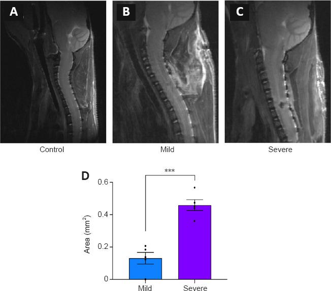 https://cdn.ncbi.nlm.nih.gov/pmc/blobs/533c/10358683/496161b5478c/NRR-18-2751-g010.jpg
