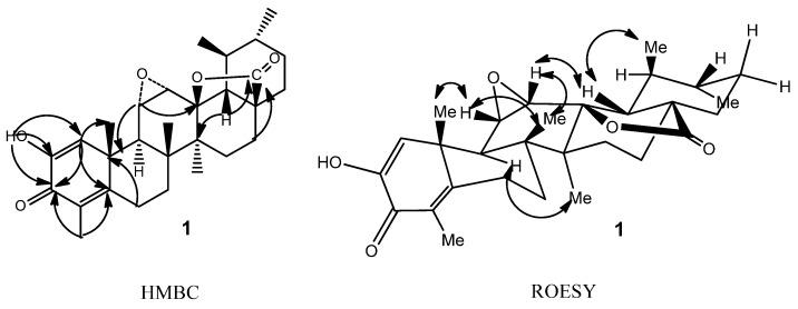 https://cdn.ncbi.nlm.nih.gov/pmc/blobs/533f/6268547/31bde165962e/molecules-17-13960-g002.jpg