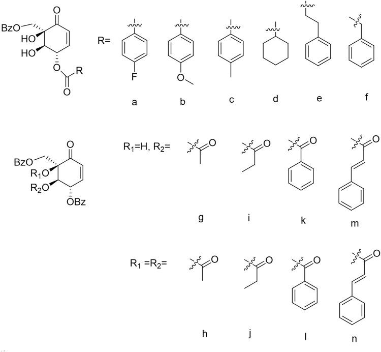 https://cdn.ncbi.nlm.nih.gov/pmc/blobs/5341/10803536/454996e5b612/fphar-14-1326245-g001.jpg