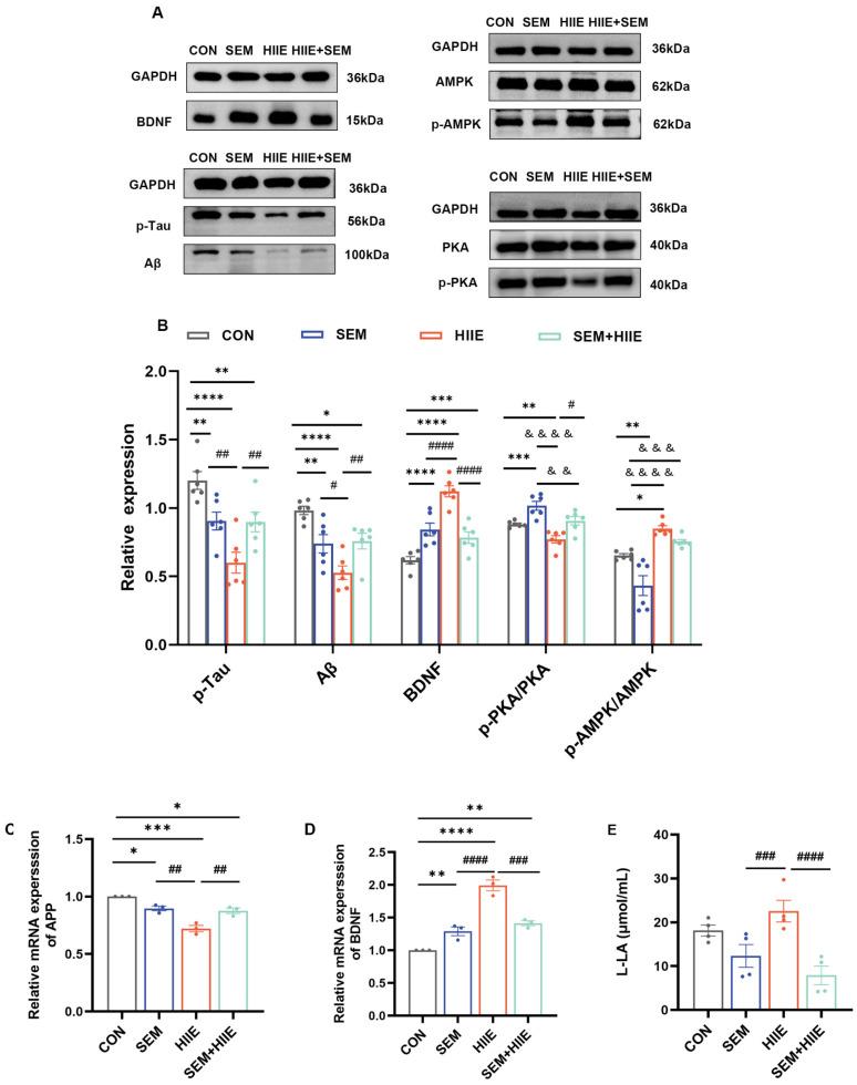 https://cdn.ncbi.nlm.nih.gov/pmc/blobs/5341/12109977/19afcd5c91ac/brainsci-15-00480-g005.jpg