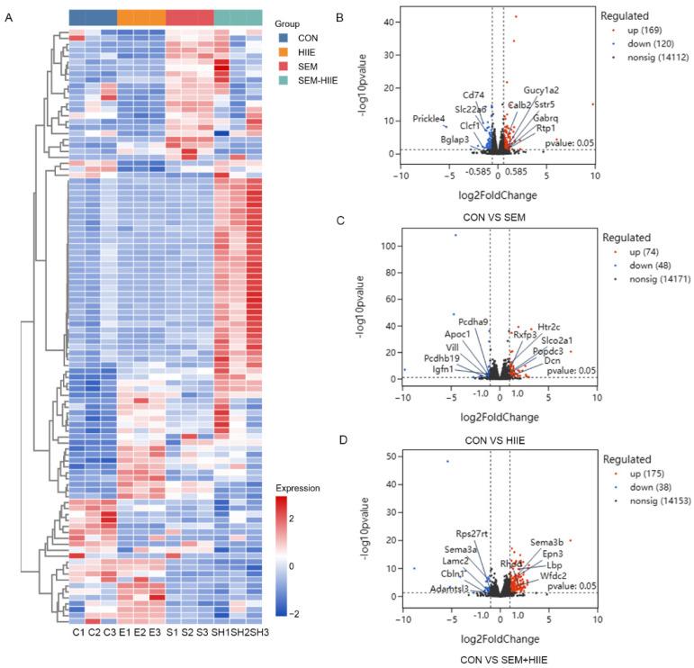 https://cdn.ncbi.nlm.nih.gov/pmc/blobs/5341/12109977/e4de3305be72/brainsci-15-00480-g003.jpg