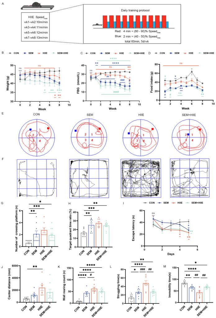 https://cdn.ncbi.nlm.nih.gov/pmc/blobs/5341/12109977/e8785d2735ca/brainsci-15-00480-g001.jpg