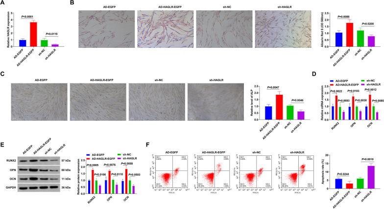 https://cdn.ncbi.nlm.nih.gov/pmc/blobs/5344/10523602/4c11ac5e5fd9/13018_2023_4203_Fig3_HTML.jpg