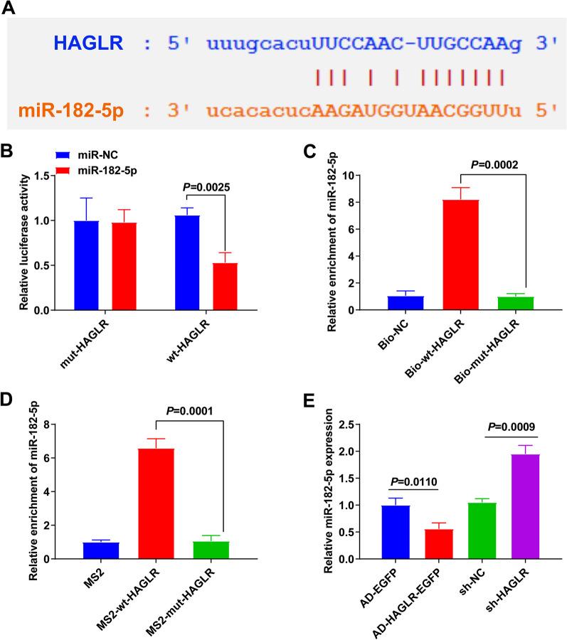 https://cdn.ncbi.nlm.nih.gov/pmc/blobs/5344/10523602/677e7fefff02/13018_2023_4203_Fig4_HTML.jpg