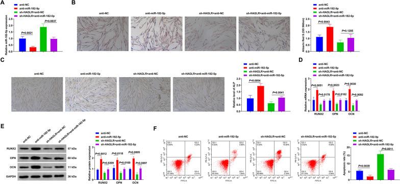 https://cdn.ncbi.nlm.nih.gov/pmc/blobs/5344/10523602/935072d8d332/13018_2023_4203_Fig5_HTML.jpg