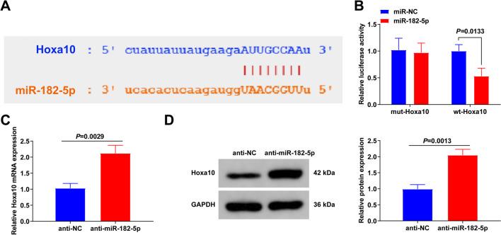 https://cdn.ncbi.nlm.nih.gov/pmc/blobs/5344/10523602/95184a790929/13018_2023_4203_Fig6_HTML.jpg
