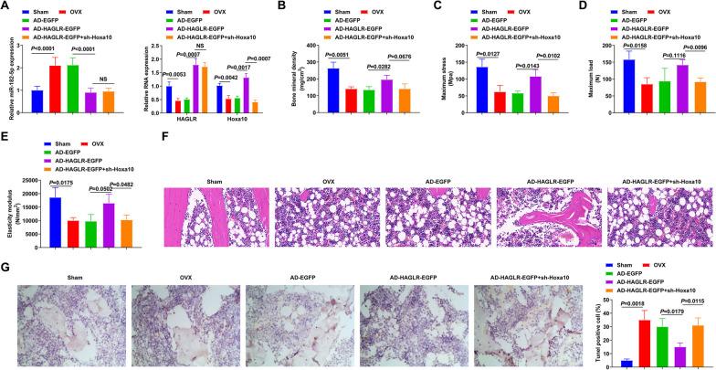 https://cdn.ncbi.nlm.nih.gov/pmc/blobs/5344/10523602/fb4f662711f7/13018_2023_4203_Fig7_HTML.jpg