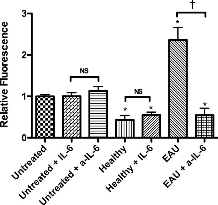 https://cdn.ncbi.nlm.nih.gov/pmc/blobs/5344/5341620/2b077bc9a60c/i1552-5783-58-2-1266-f06.jpg