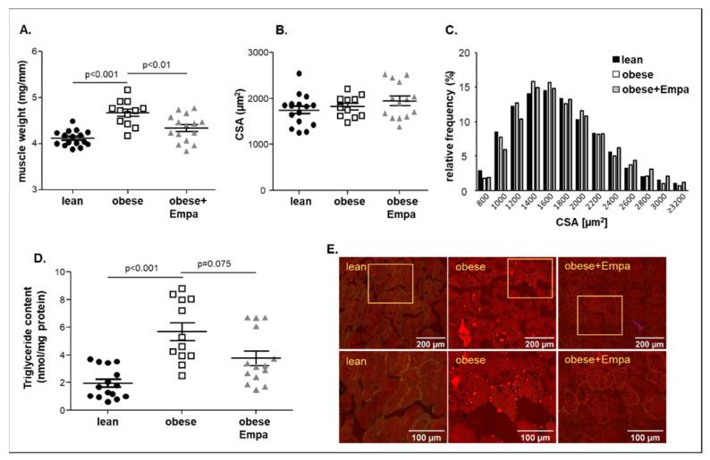 https://cdn.ncbi.nlm.nih.gov/pmc/blobs/5347/9570453/9984c6f28f15/ijms-23-10989-g001.jpg