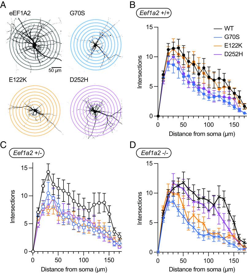 https://cdn.ncbi.nlm.nih.gov/pmc/blobs/5348/10515156/afabc6840d7a/pnas.2307704120fig03.jpg
