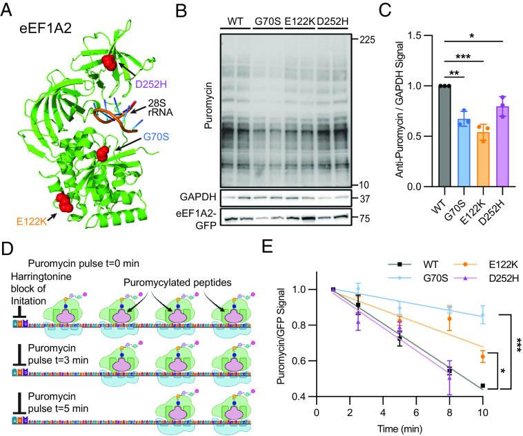 https://cdn.ncbi.nlm.nih.gov/pmc/blobs/5348/10515156/c5a72a6ca368/pnas.2307704120fig01.jpg
