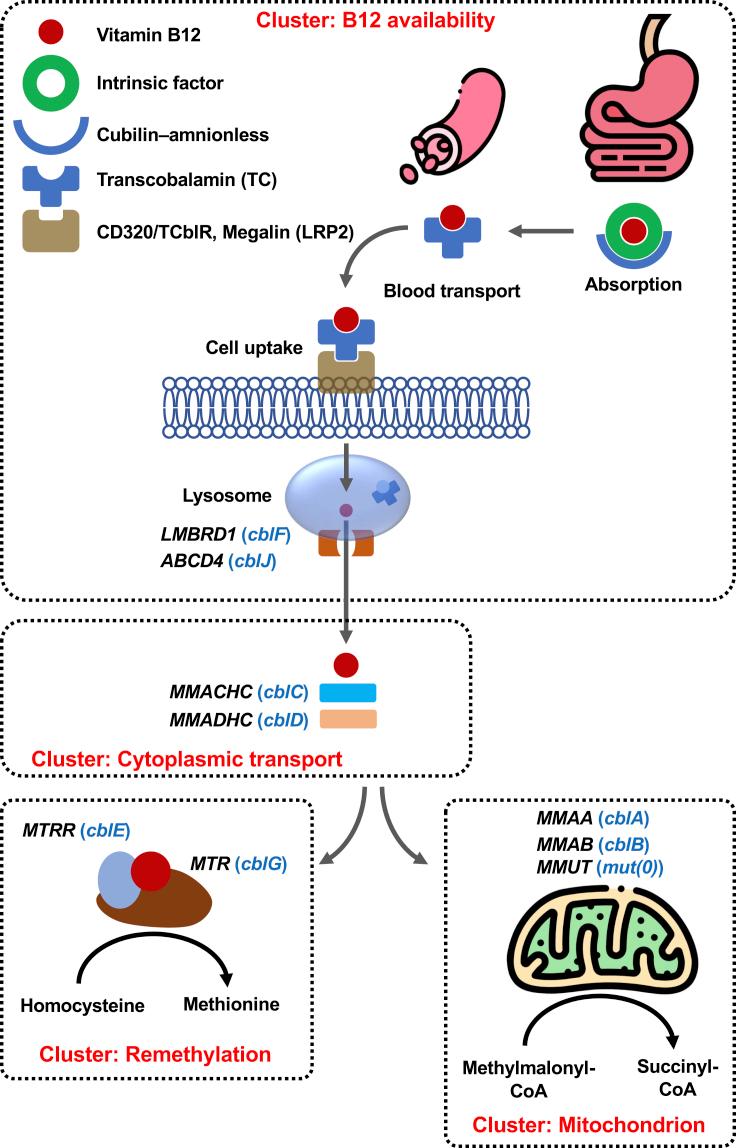 https://cdn.ncbi.nlm.nih.gov/pmc/blobs/5348/9381384/d8487bd3044a/gr1.jpg