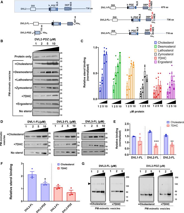 https://cdn.ncbi.nlm.nih.gov/pmc/blobs/5349/12167792/405a6779ec1a/gr2.jpg