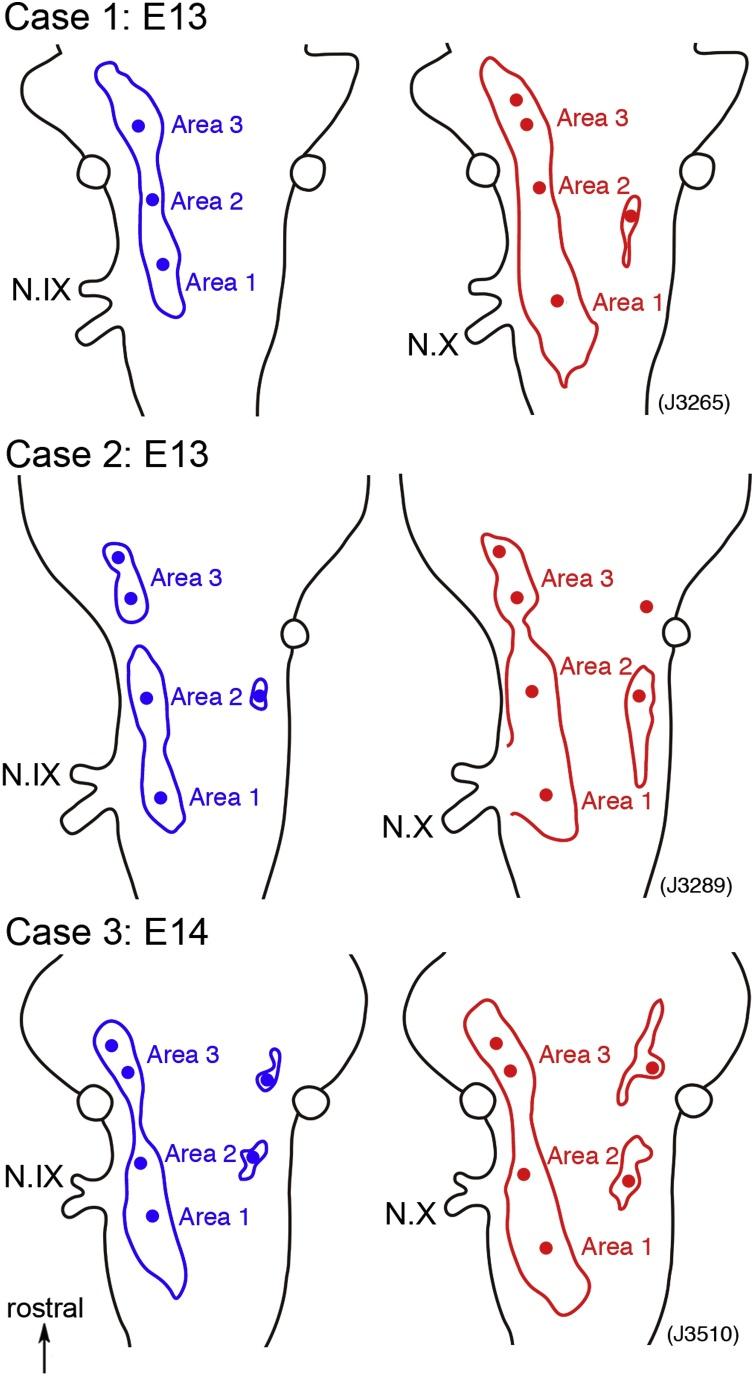 https://cdn.ncbi.nlm.nih.gov/pmc/blobs/534b/6531809/6b091d141194/gr6.jpg