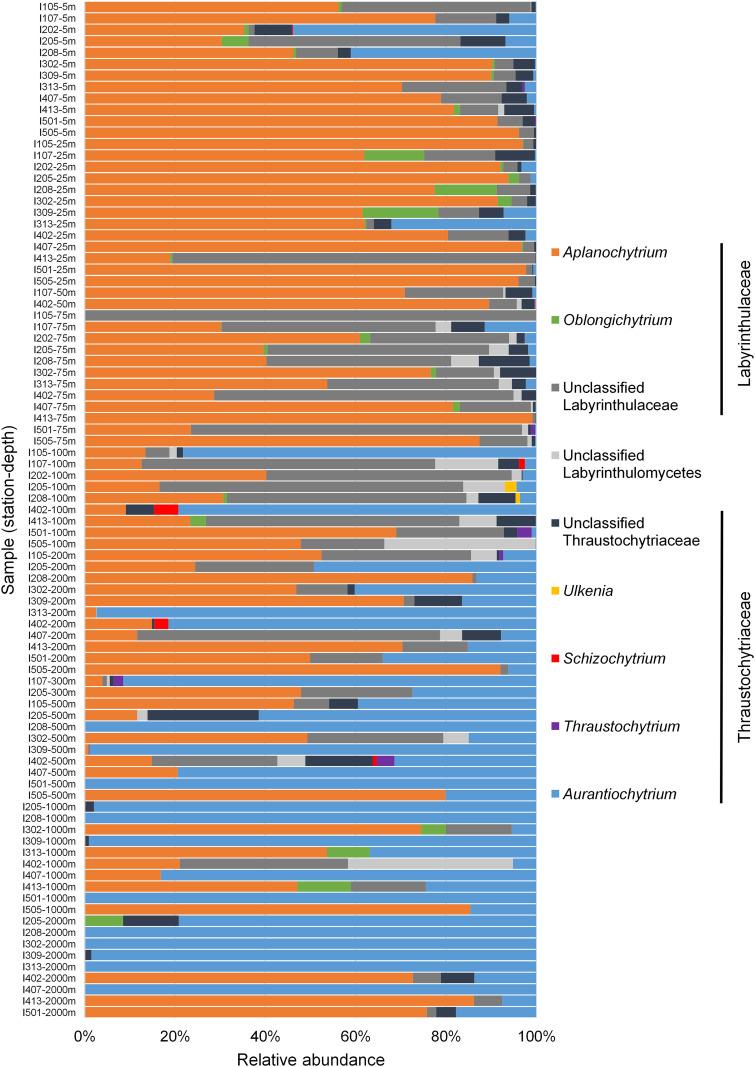 https://cdn.ncbi.nlm.nih.gov/pmc/blobs/534d/9241719/715def1dfc35/spectrum.00144-22-f005.jpg