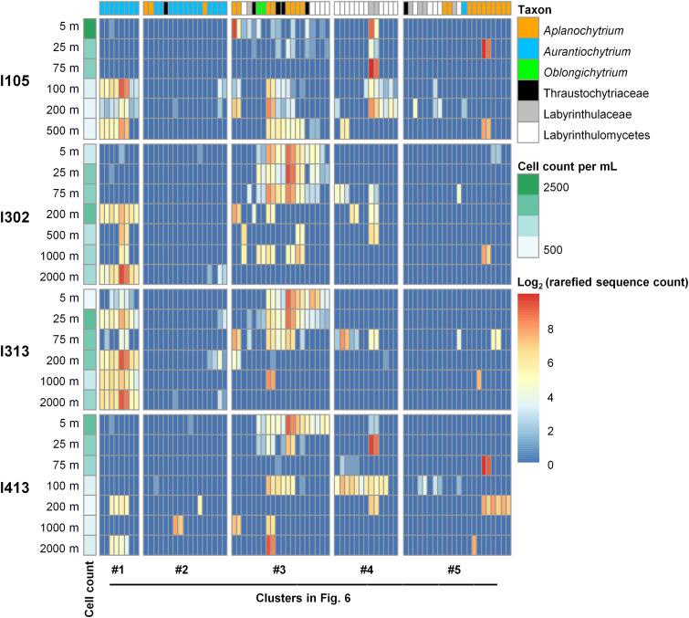 https://cdn.ncbi.nlm.nih.gov/pmc/blobs/534d/9241719/953a2fdb1a79/spectrum.00144-22-f007.jpg