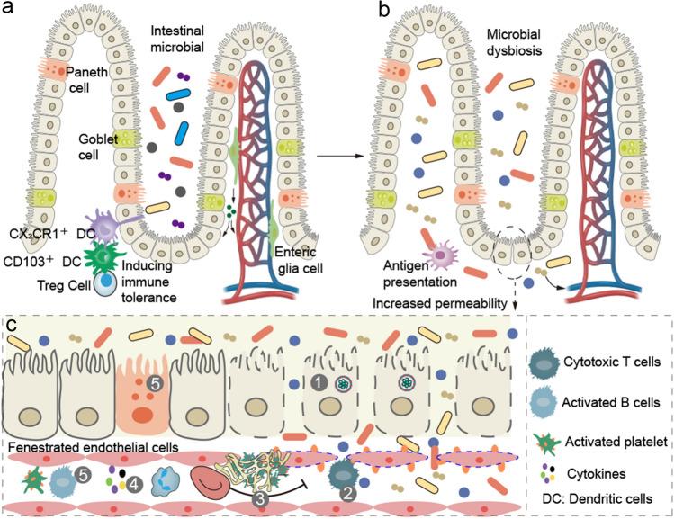 https://cdn.ncbi.nlm.nih.gov/pmc/blobs/534f/10134732/3e38f2fcbe2f/10456_2023_9878_Fig5_HTML.jpg