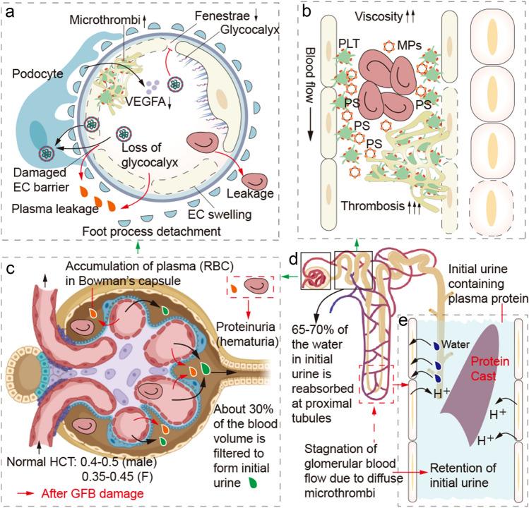 https://cdn.ncbi.nlm.nih.gov/pmc/blobs/534f/10134732/cf0042548cdf/10456_2023_9878_Fig4_HTML.jpg