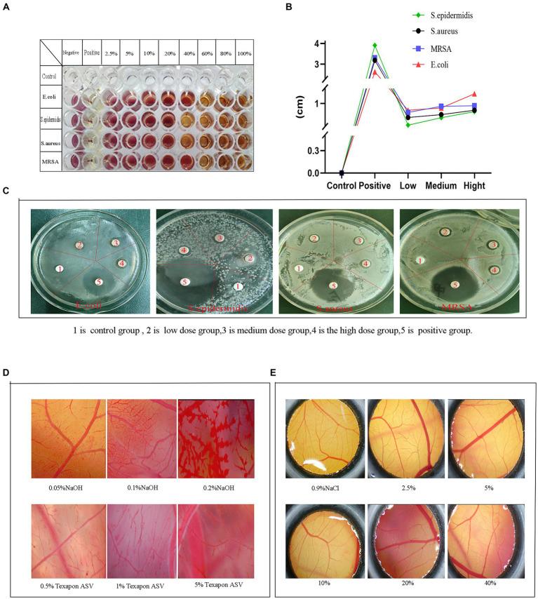 https://cdn.ncbi.nlm.nih.gov/pmc/blobs/5351/11112119/117d5801a736/fmicb-15-1400505-g007.jpg