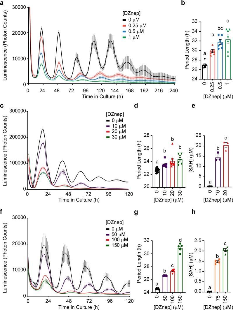 https://cdn.ncbi.nlm.nih.gov/pmc/blobs/5351/7203107/bf63b9831390/42003_2020_942_Fig3_HTML.jpg