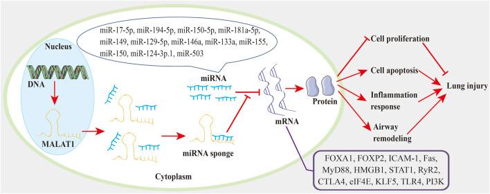 https://cdn.ncbi.nlm.nih.gov/pmc/blobs/5351/9523402/2021a8be6c5f/fgene-13-1003964-g001.jpg
