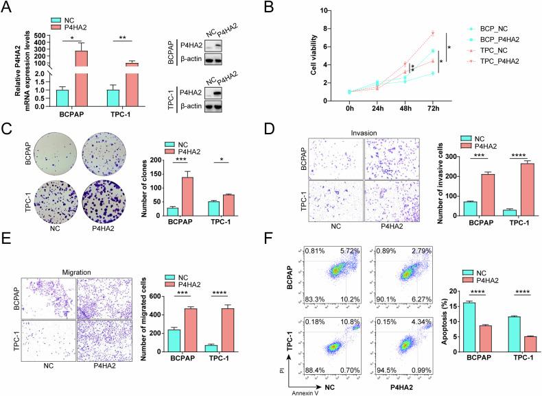 https://cdn.ncbi.nlm.nih.gov/pmc/blobs/5353/12084645/052b5af56372/41419_2025_7702_Fig4_HTML.jpg