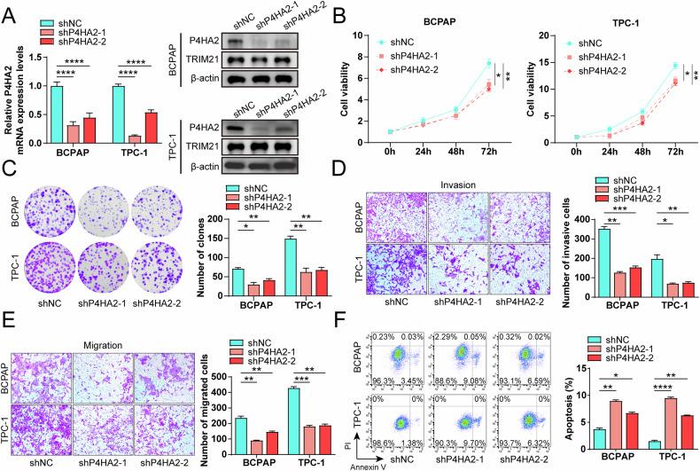 https://cdn.ncbi.nlm.nih.gov/pmc/blobs/5353/12084645/6ed8b01cf752/41419_2025_7702_Fig3_HTML.jpg