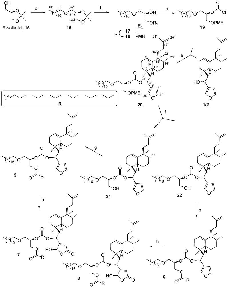 https://cdn.ncbi.nlm.nih.gov/pmc/blobs/5353/6273371/5731f25c4add/molecules-21-00047-g003.jpg