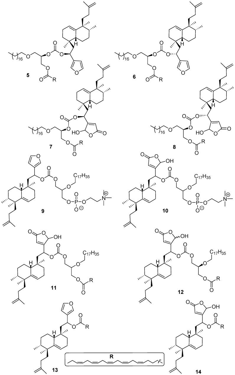 https://cdn.ncbi.nlm.nih.gov/pmc/blobs/5353/6273371/8060cf912972/molecules-21-00047-g002.jpg