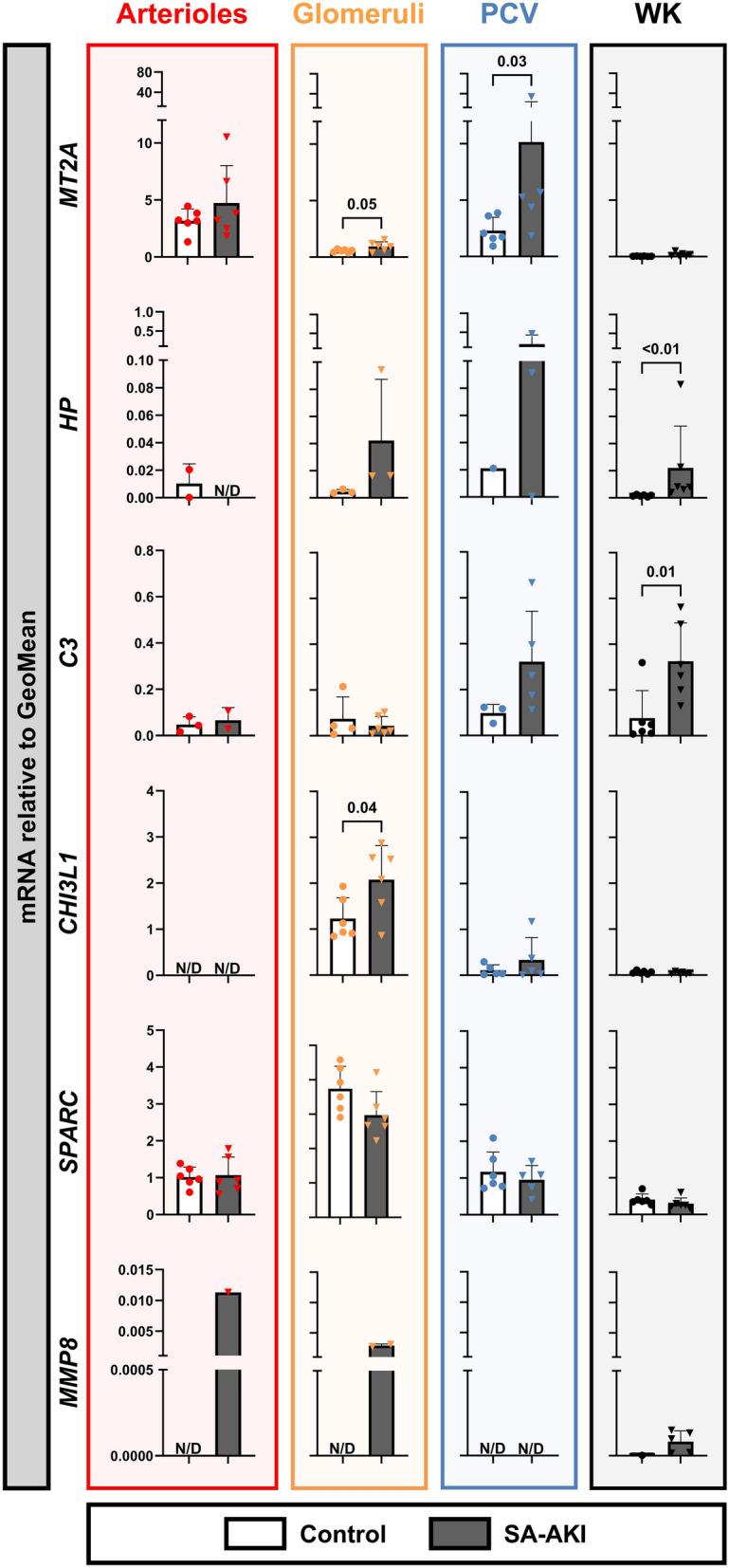 https://cdn.ncbi.nlm.nih.gov/pmc/blobs/5354/12405097/e66dd449b8c2/40635_2025_801_Fig3_HTML.jpg