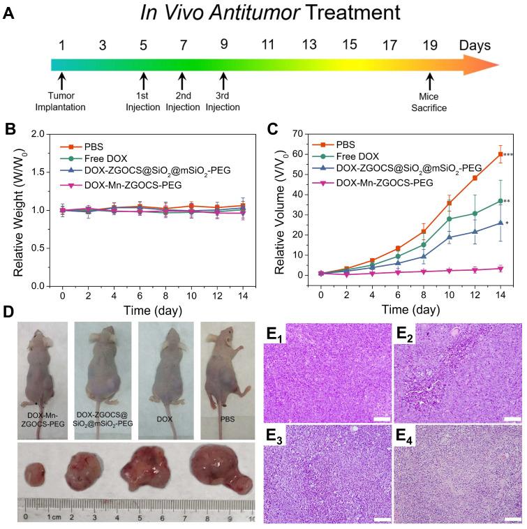 https://cdn.ncbi.nlm.nih.gov/pmc/blobs/5354/8344013/1da1d0f51145/thnov11p8448g007.jpg