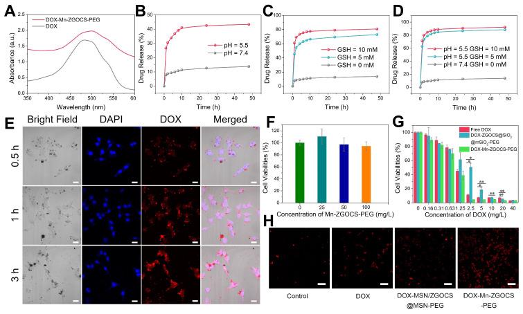https://cdn.ncbi.nlm.nih.gov/pmc/blobs/5354/8344013/48e444e15625/thnov11p8448g006.jpg