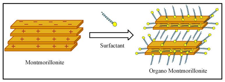 https://cdn.ncbi.nlm.nih.gov/pmc/blobs/5356/10383822/7335168ecfe2/membranes-13-00619-g001.jpg