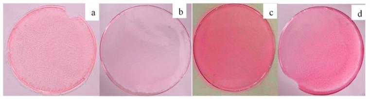 https://cdn.ncbi.nlm.nih.gov/pmc/blobs/5356/10383822/abbcc1fd4d21/membranes-13-00619-g010.jpg