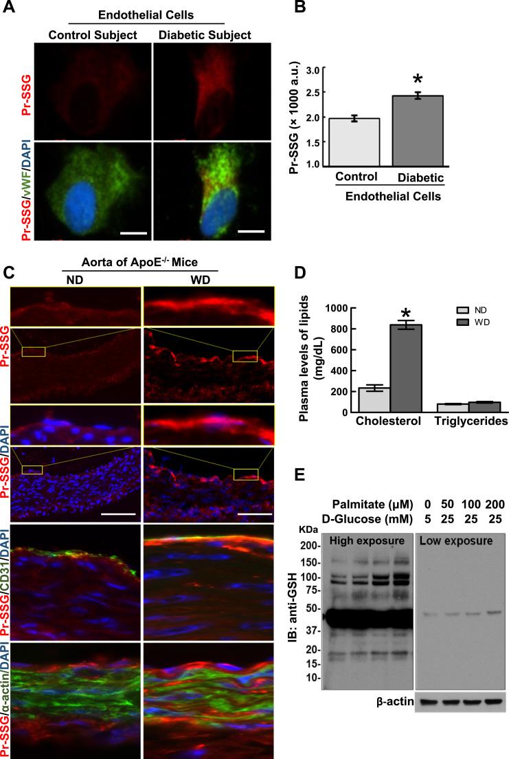 https://cdn.ncbi.nlm.nih.gov/pmc/blobs/5358/5045950/372ea713e8a3/gr1.jpg