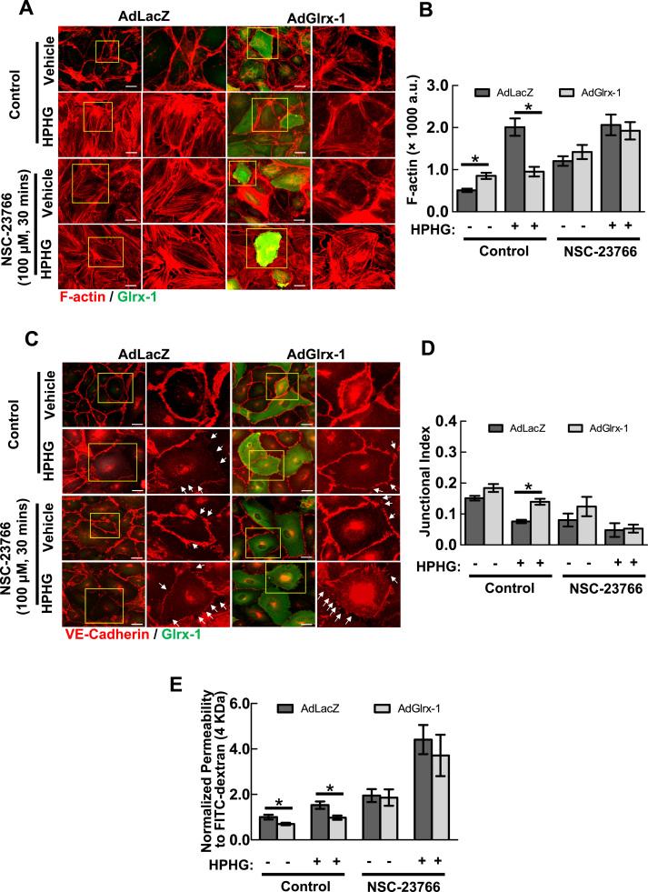 https://cdn.ncbi.nlm.nih.gov/pmc/blobs/5358/5045950/6cc37d9bba9b/gr5.jpg