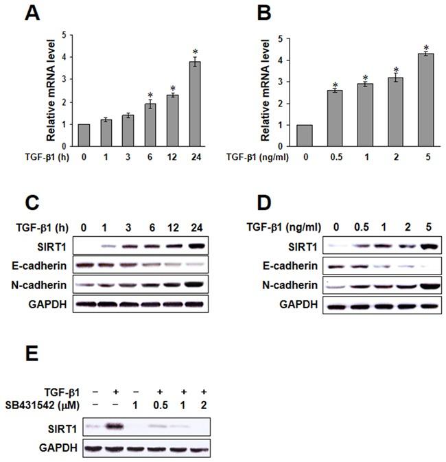 https://cdn.ncbi.nlm.nih.gov/pmc/blobs/5358/5302984/0869484cafb0/oncotarget-07-57213-g002.jpg