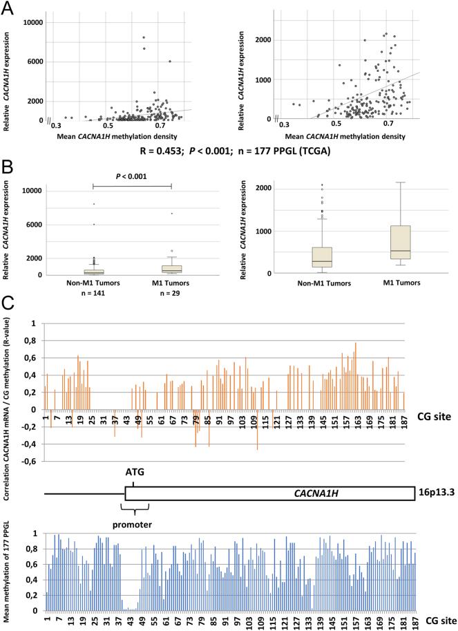 https://cdn.ncbi.nlm.nih.gov/pmc/blobs/535a/11301417/2760e67229e4/ERC-23-0061fig3.jpg